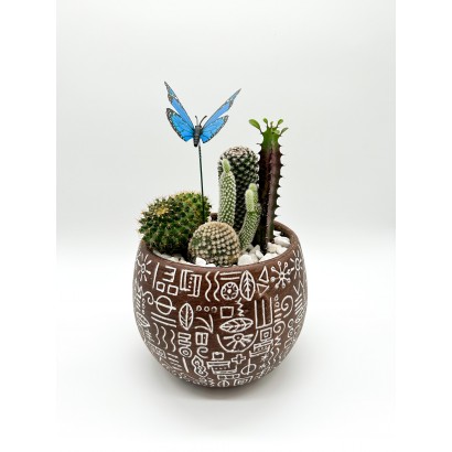 Cactus in ceramica appendibile -Ordina online su